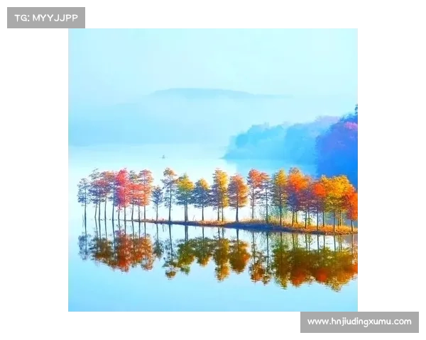 冬日湖畔漫步：感受宁静与诗意交织的冬季魅力