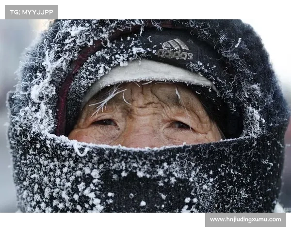 冬霜群岛极寒生存挑战揭秘你能在冰雪中坚持多久