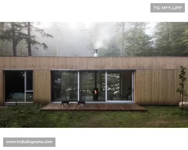 探索神秘森林中的五种冥想方式让心灵与自然共鸣