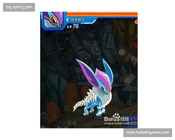 揭开魔狮迪露神秘面纱的奥秘，勇者踏上胜利之路