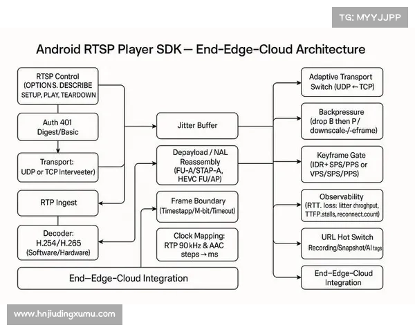 五大联赛各自有何不同的全面比较与深度解析指南与多维观察视角探讨篇 五大联赛各自有何不同的全面比较与深度解析指南与多维观察视角探讨篇
